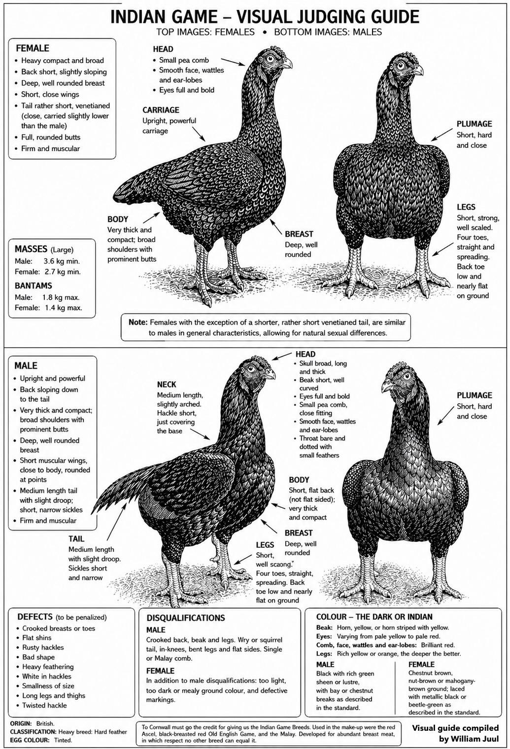 Indian Game visual judging guide showing male and female standard points