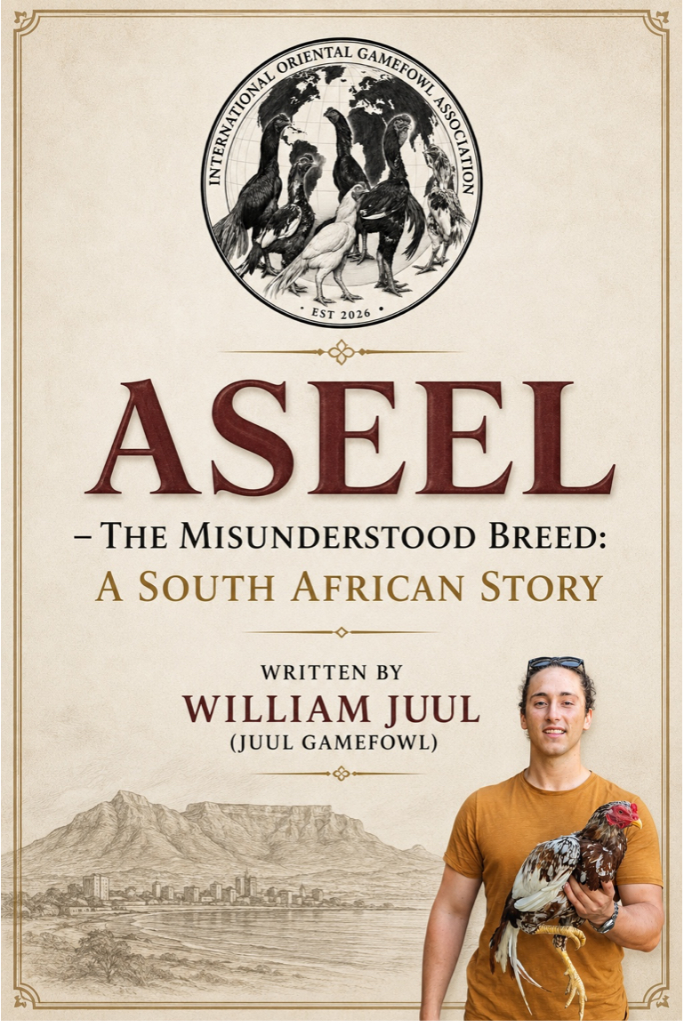 Cover of 'Aseel, the Misunderstood Breed: A South African Story' by William Juul